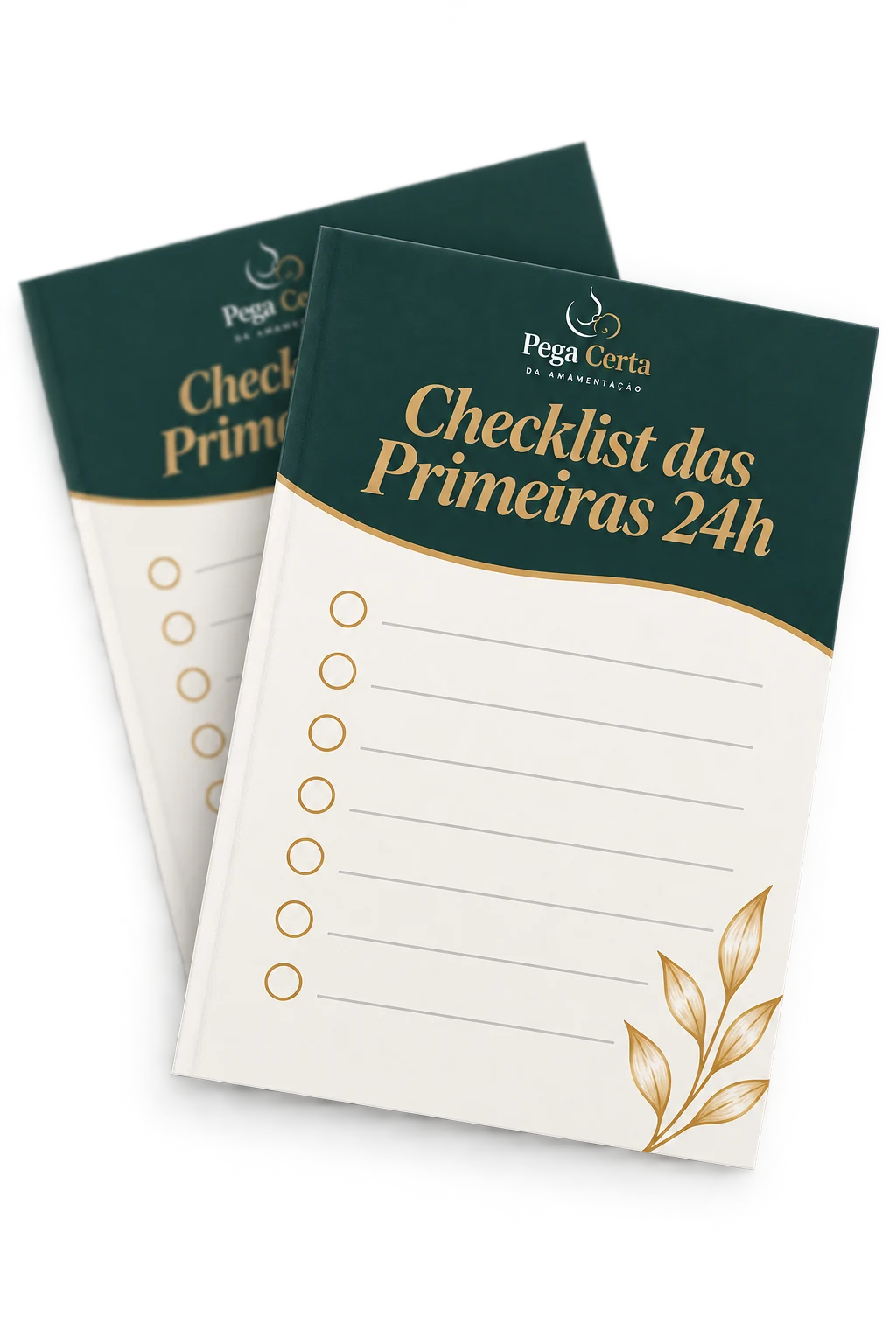 Checklist das Primeiras 24h
